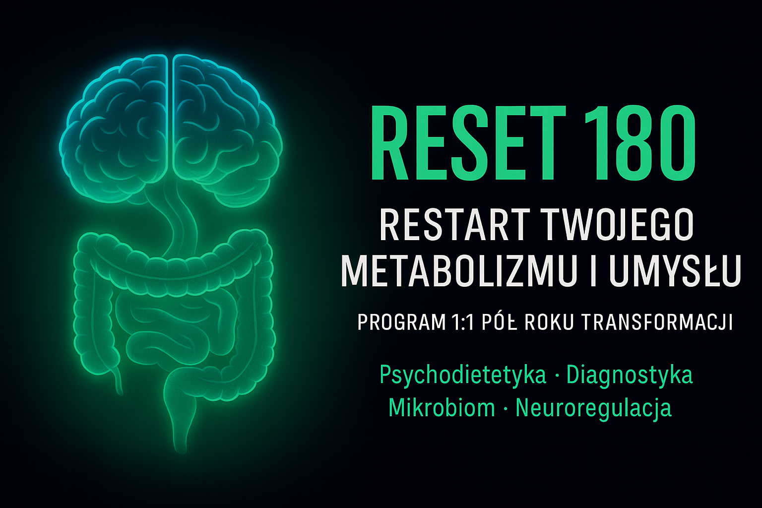 Reset 180 – Etapy Programu