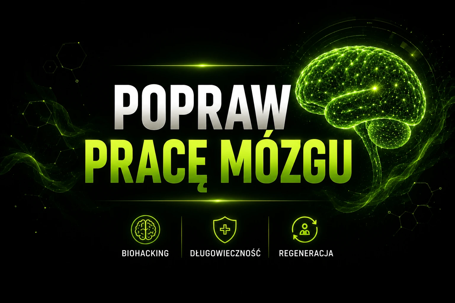 Kurs Biohacking Mózgu